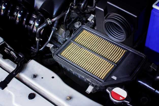 Step-by-Step Instructions for Removing the Old Filter