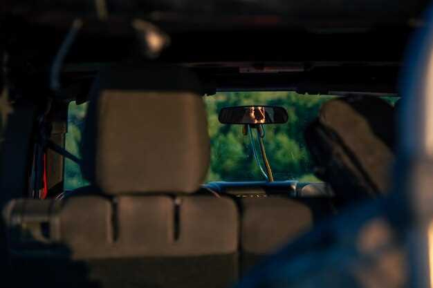 Step-by-Step Installation Process for BMW Ambient Lighting