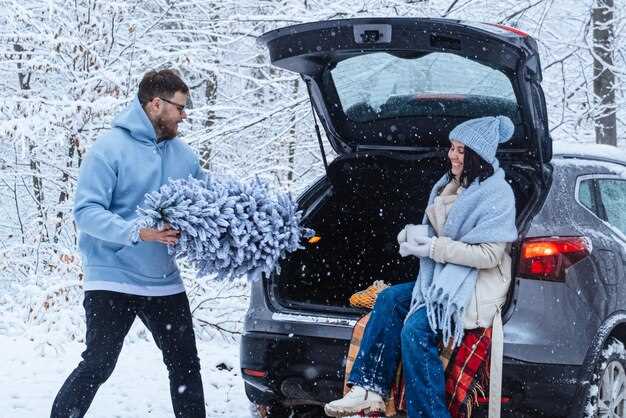 How to Choose and Install Winter Tires for Optimal Traction