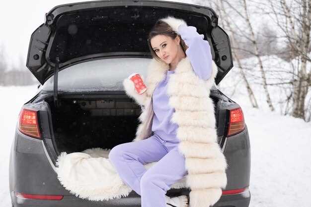 Winterizing Your BMW – A DIY Guide